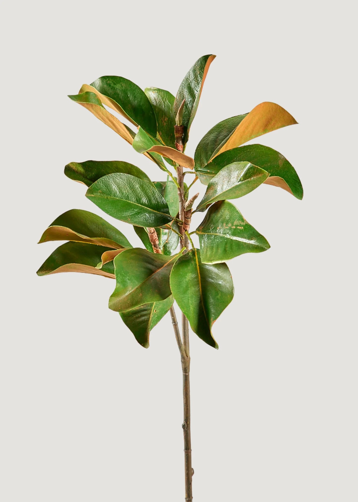 Artificial Magnolia Stem - 41" Set of 3