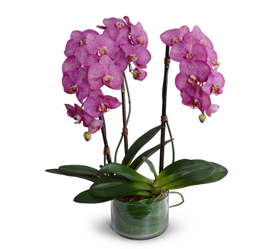 Phalaenopsis Orchid x3 Leaf-it 29"H