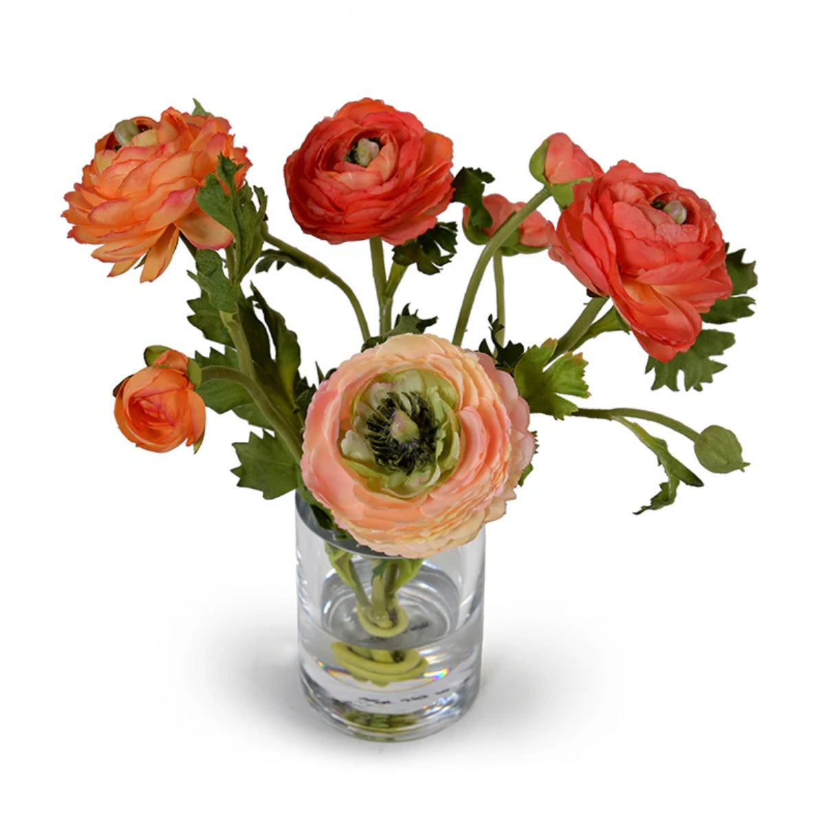 Ranunculus