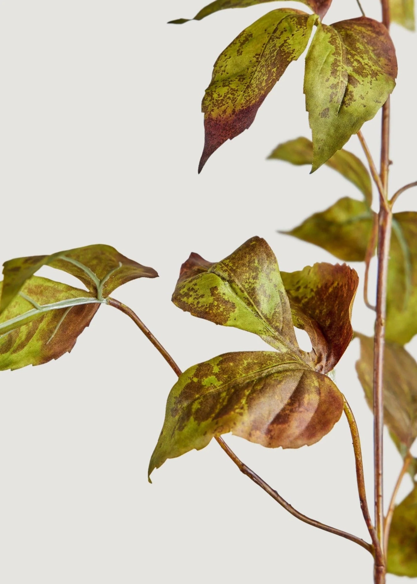 Artificial Grape Ivy Stem- 48" Set of 3