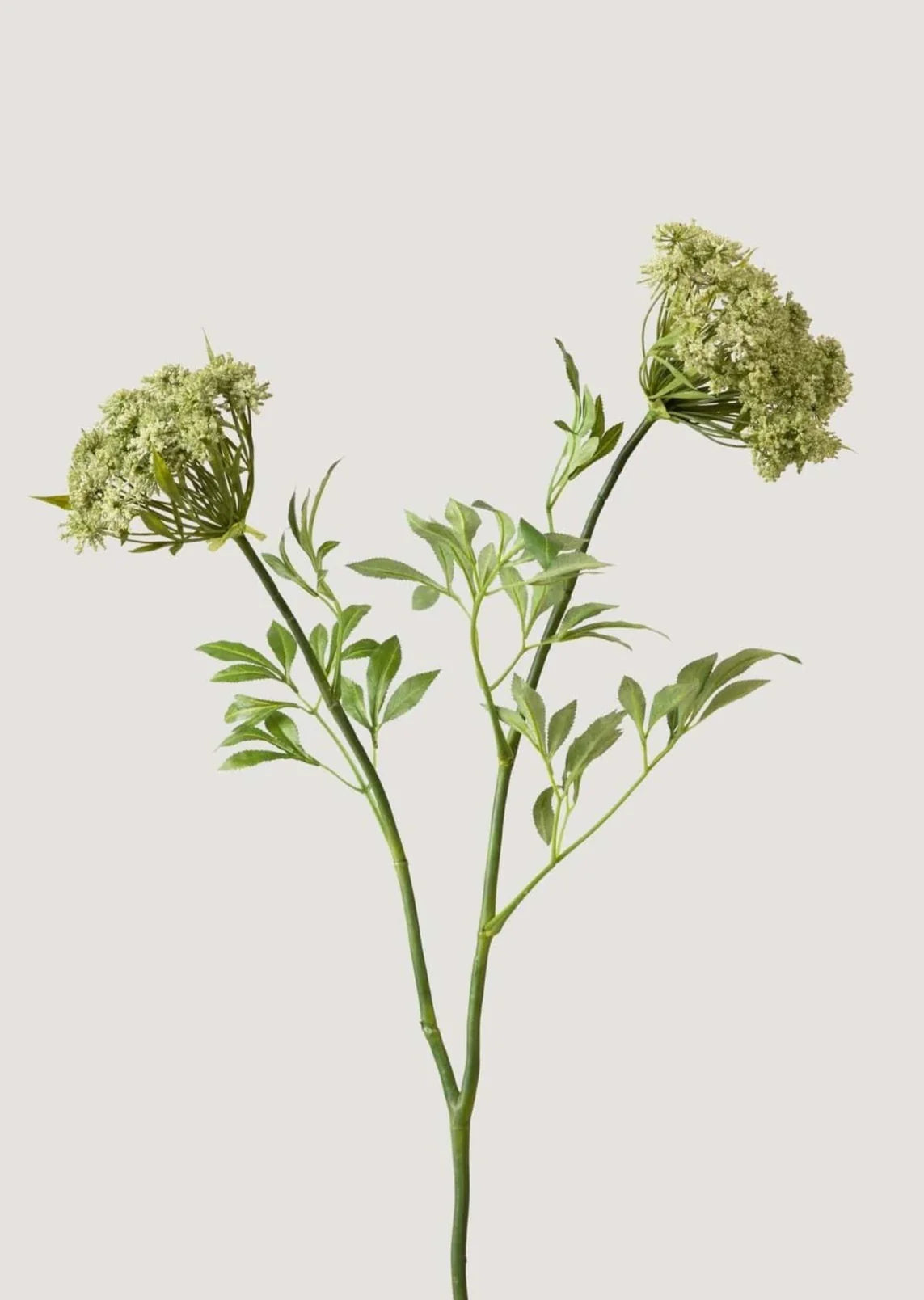 Artificial Queen Anne's Lace Stems - 36" Set of 3