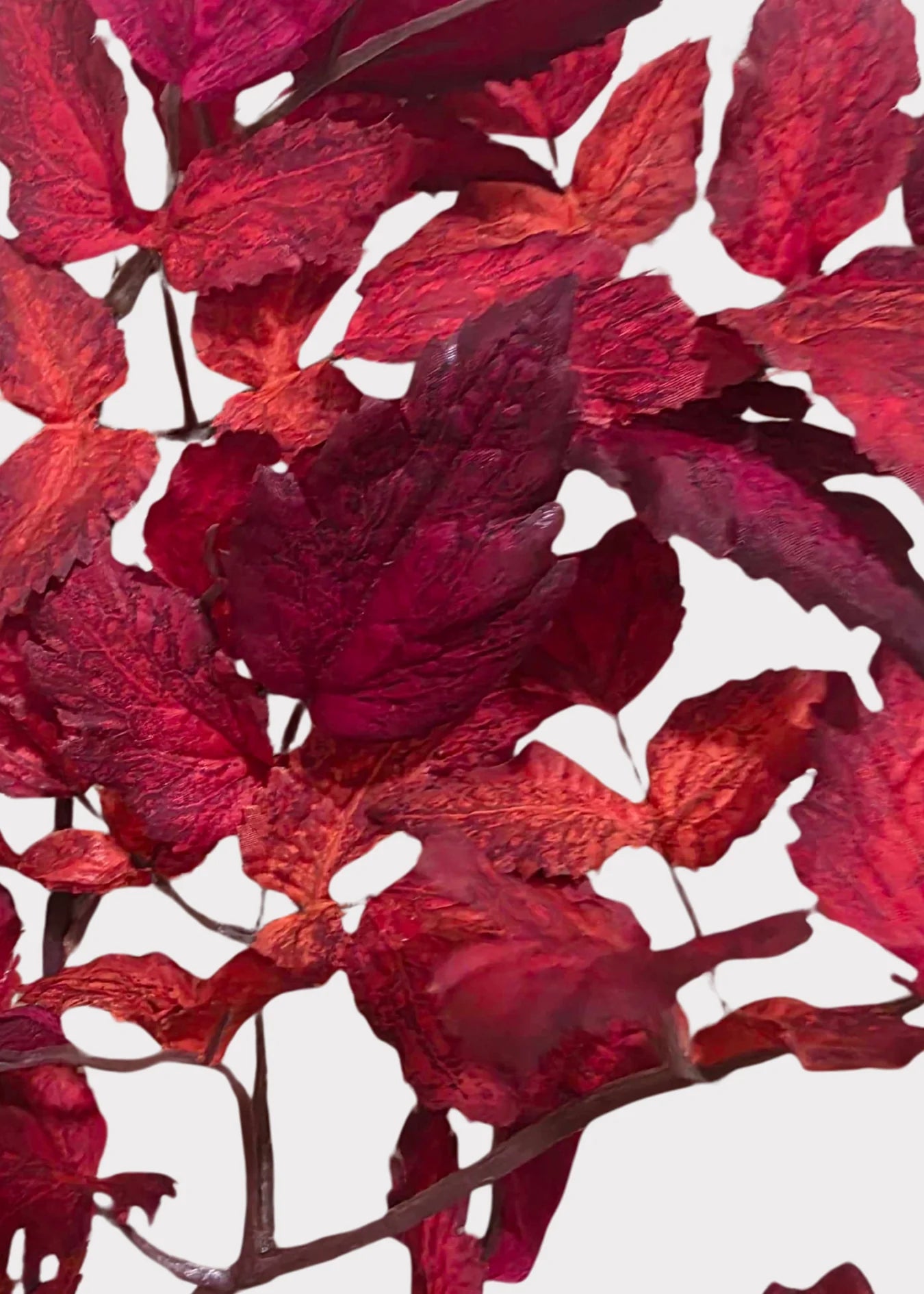 Artificial Cimicifuga Ramosa Fall Branch – Crimson Red, 30”-Set of 3