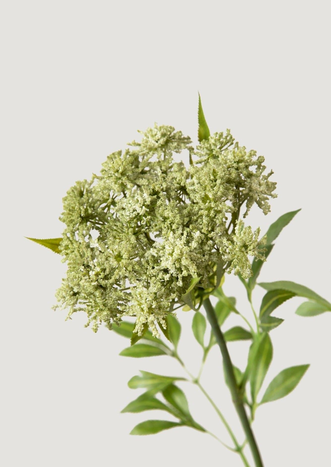 Artificial Queen Anne's Lace Stems - 36" Set of 3