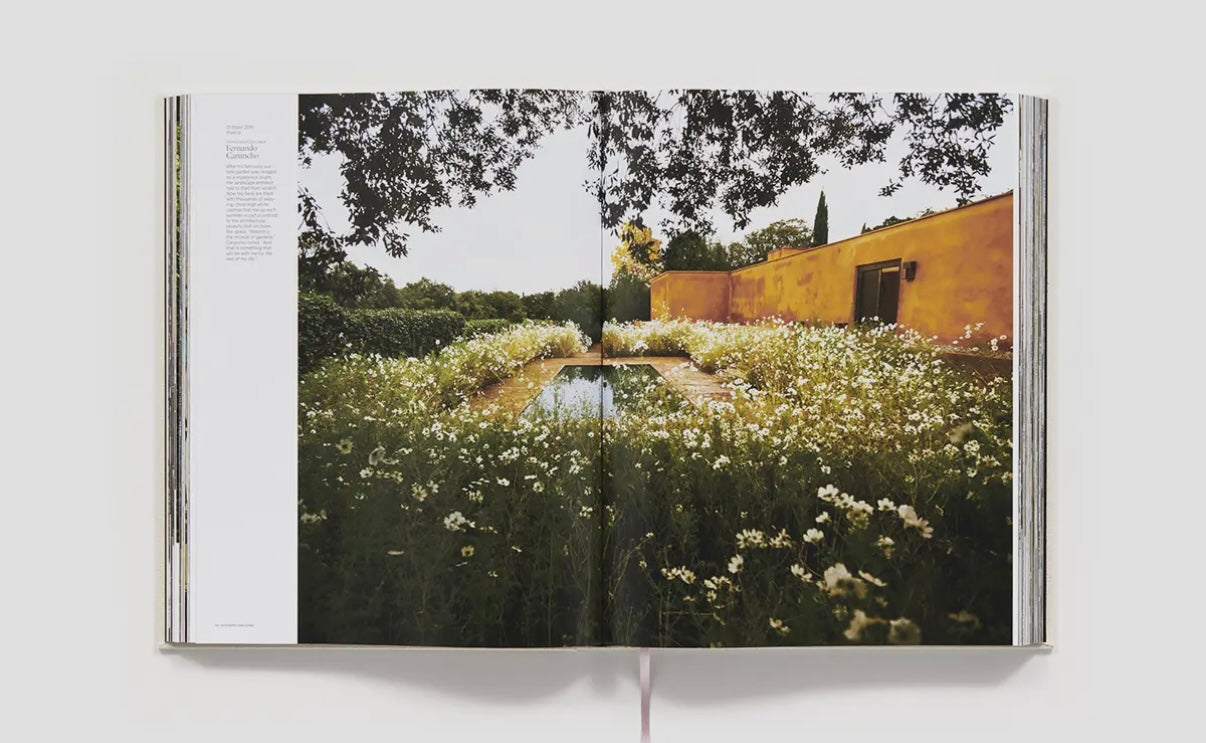 AD: A Century of Style – Architectural Digest 100 Years of Iconic Design | Luxury Coffee Table Book