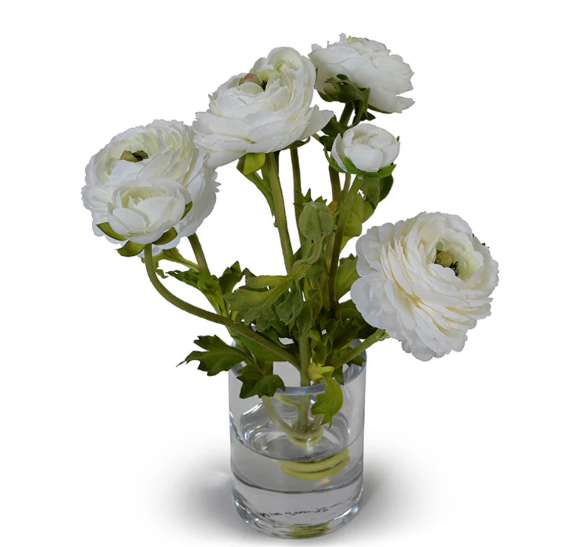 Ranunculus