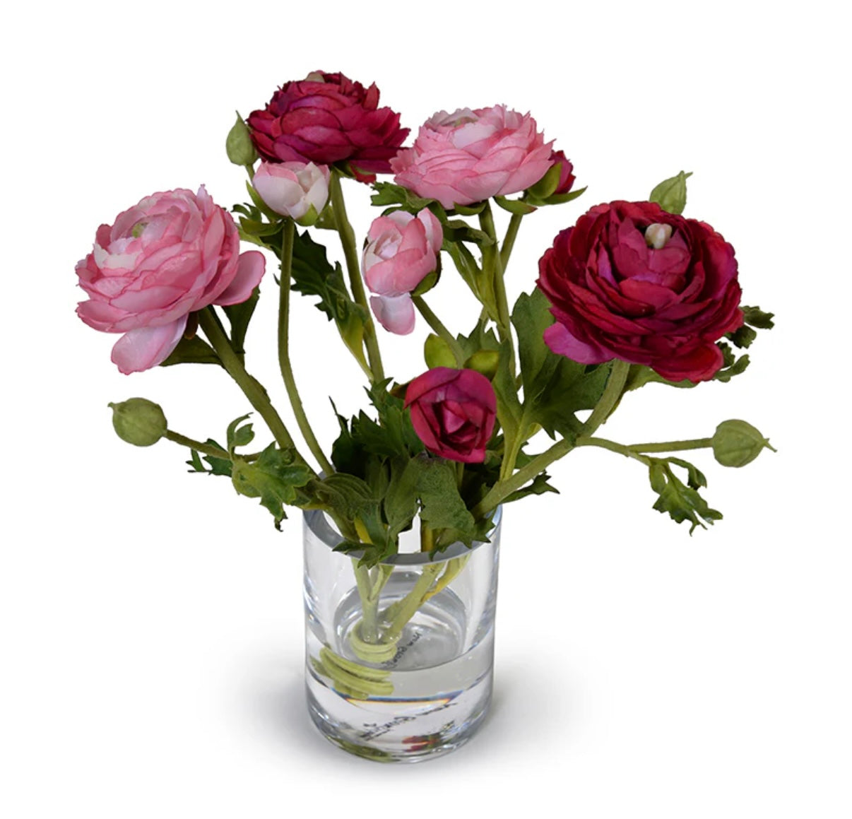 Ranunculus
