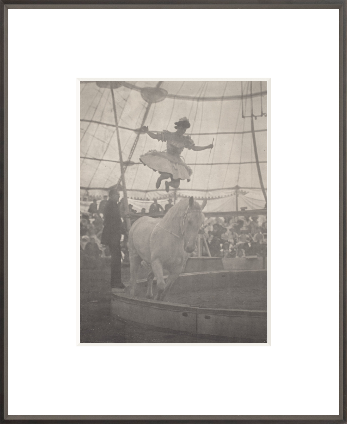 The Circus