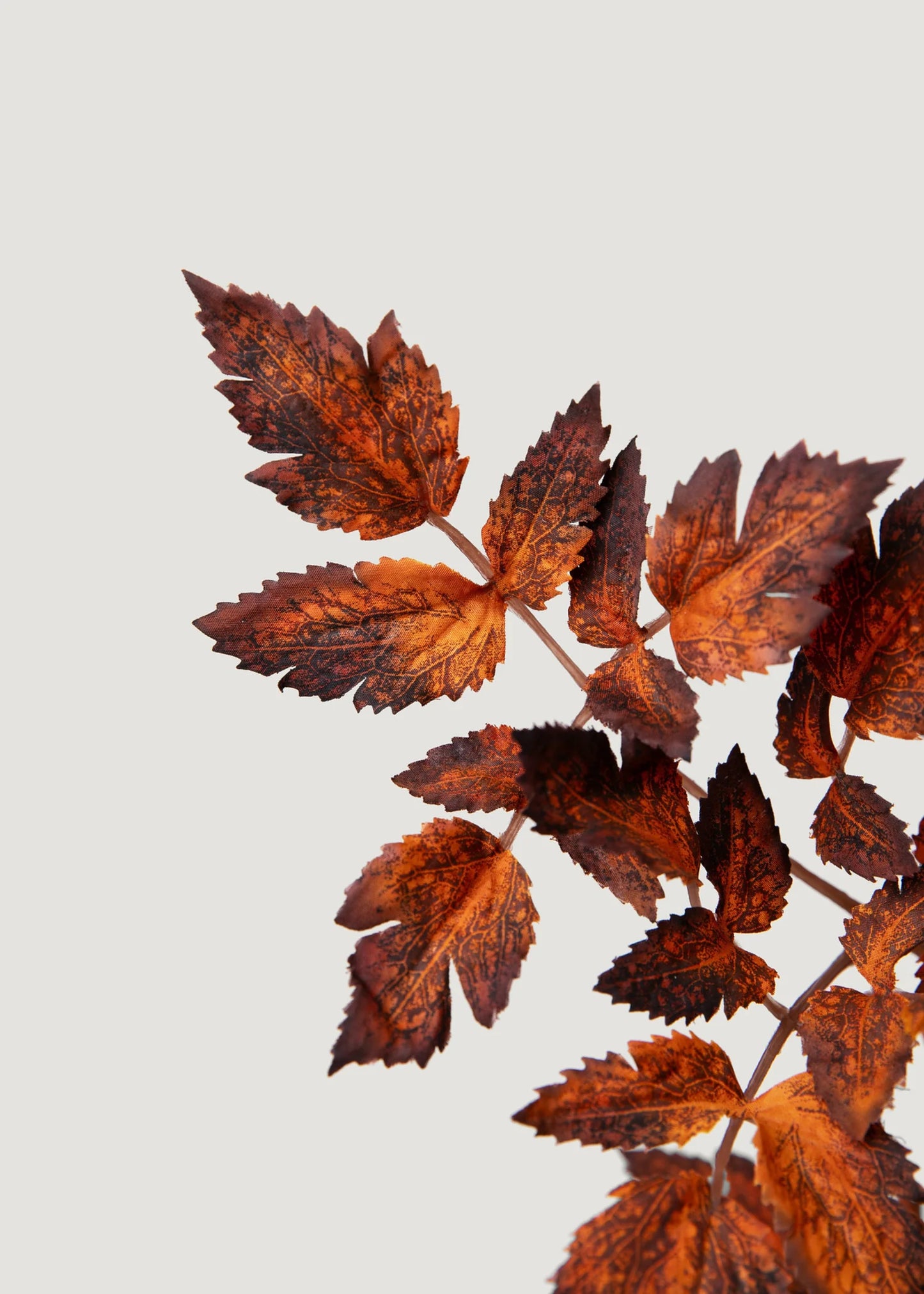 Brown Artificial Cimicifuga Seeded Garland - 6'