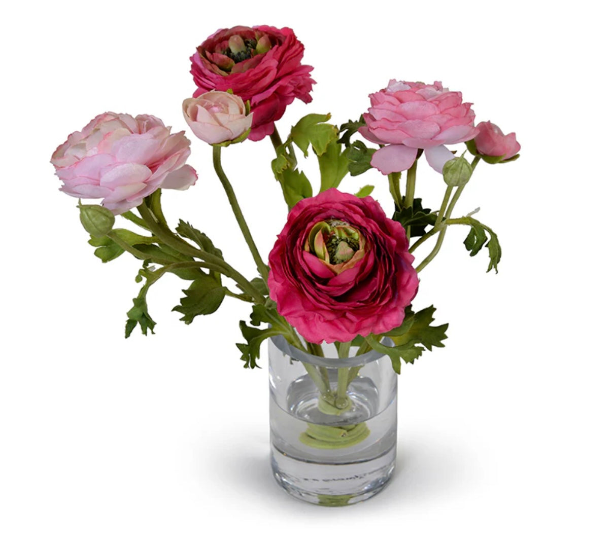 Ranunculus