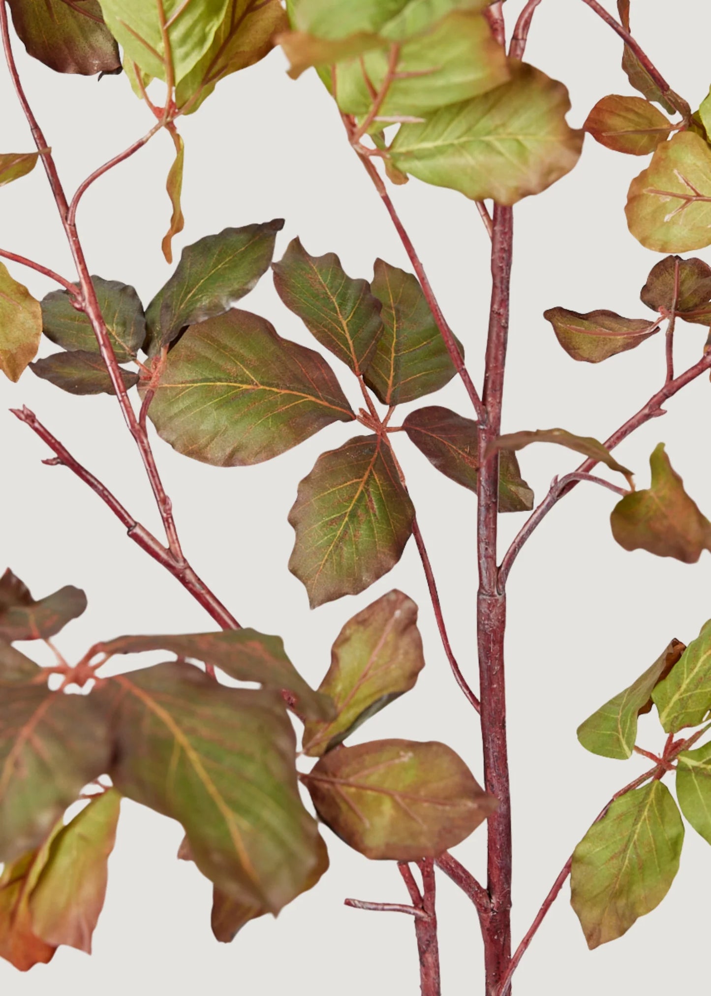 Artificial Chestnut Leaf Branch - 47" Set of 3