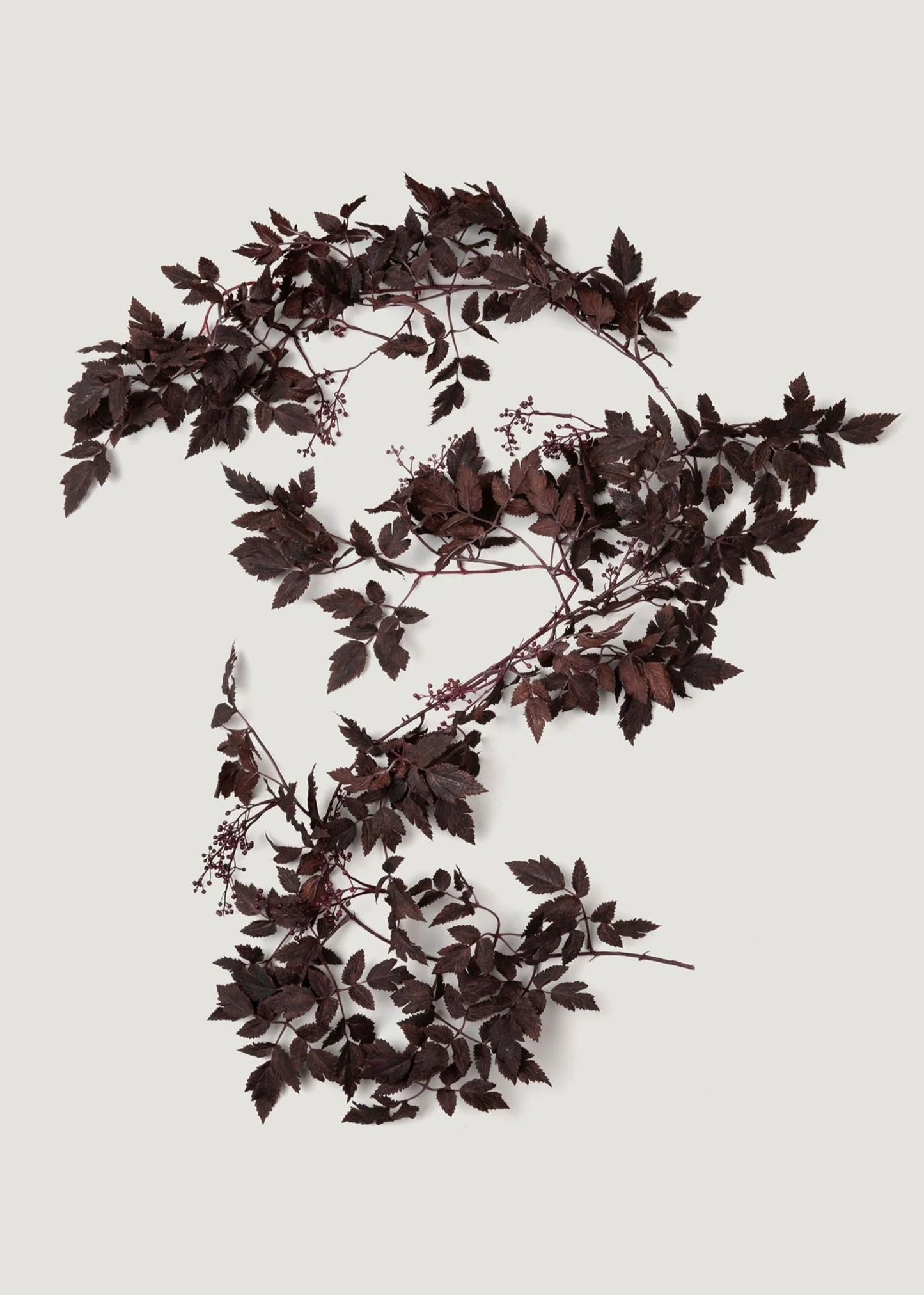 Artificial Cimicifuga Seeded Garland- 6'