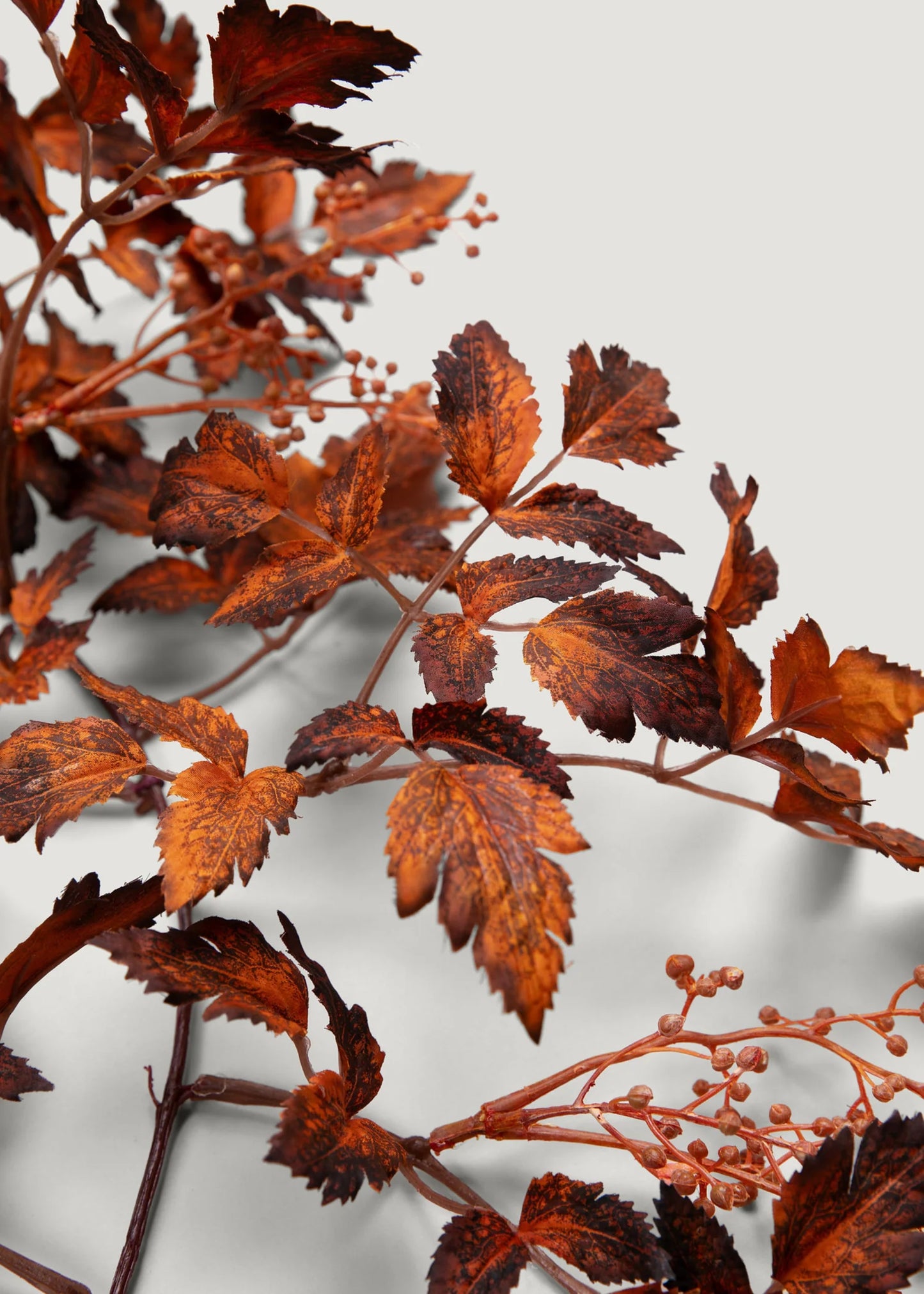 Brown Artificial Cimicifuga Seeded Garland - 6'