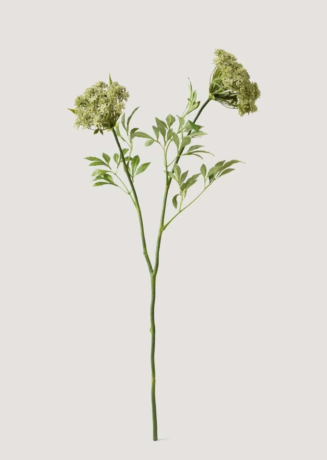 Artificial Queen Anne's Lace Stems - 36" Set of 3