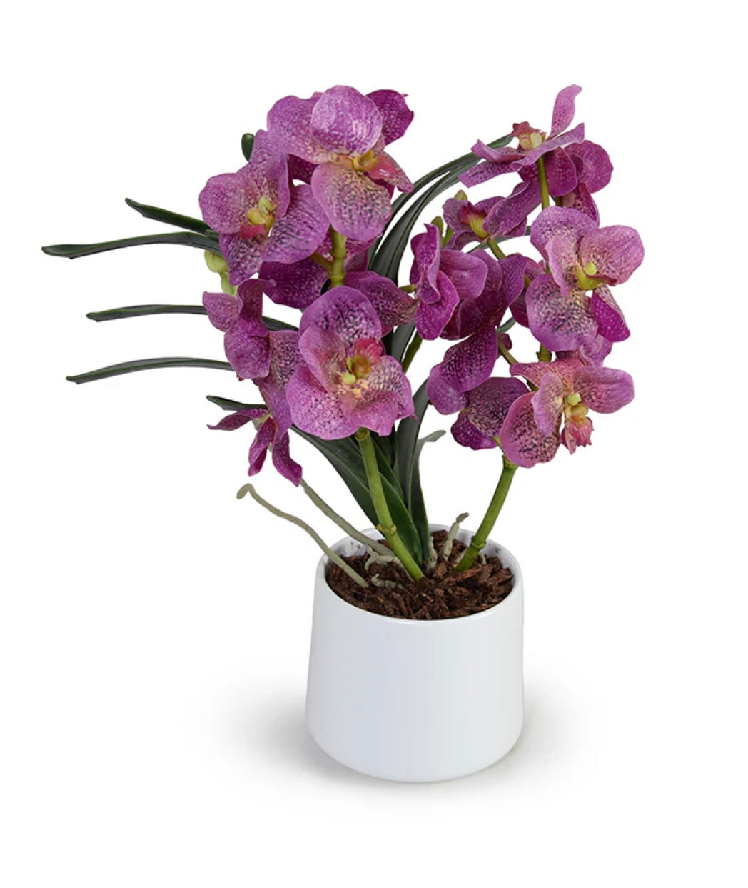 Floral and Stems