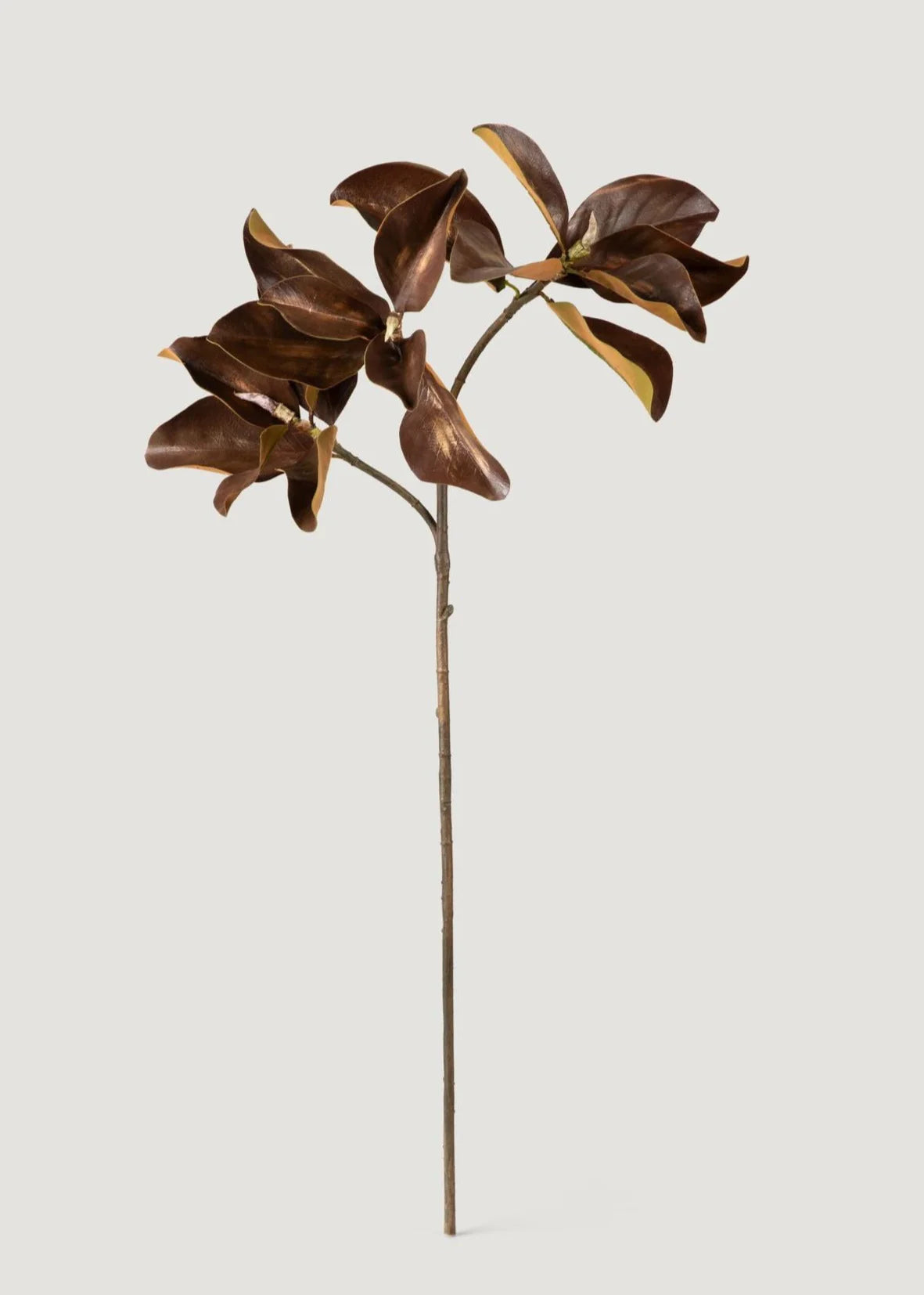 Artificial Brown Magnolia Stem - 38.5" Set of 3