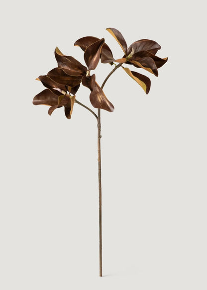 Artificial Brown Magnolia Stem - 38.5" Set of 3