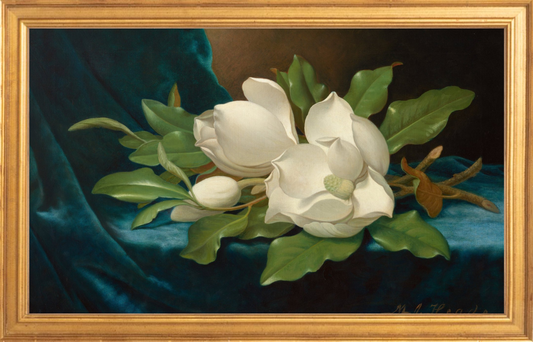 Magnolia