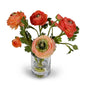 Ranunculus