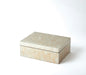 Champagne Silver Leaf Boxes