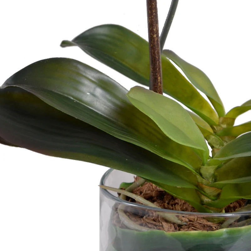 Phalaenopsis Orchid x3 Leaf-it 29"H