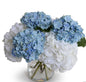 Hydrangea Arrangement in Glass 12"H
