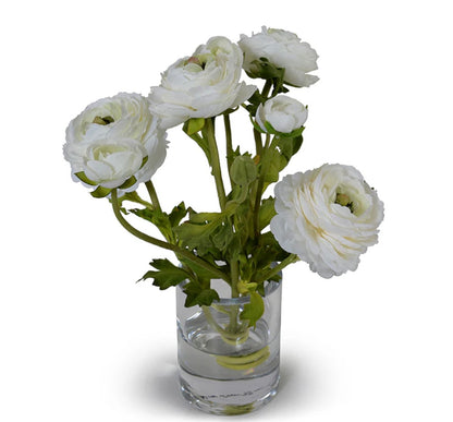 Ranunculus
