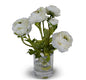 Ranunculus