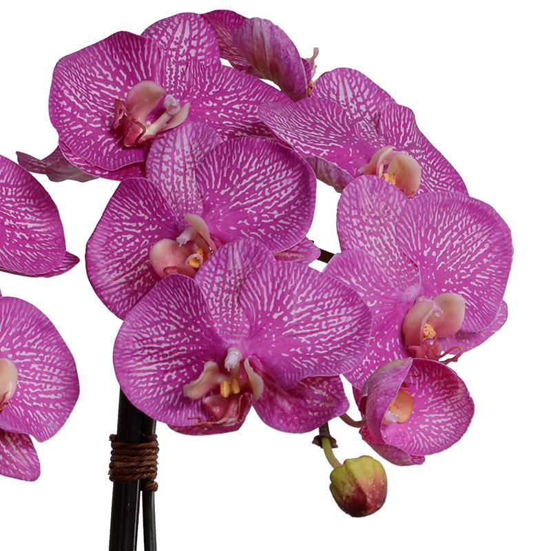 Phalaenopsis Orchid x3 Leaf-it 29"H