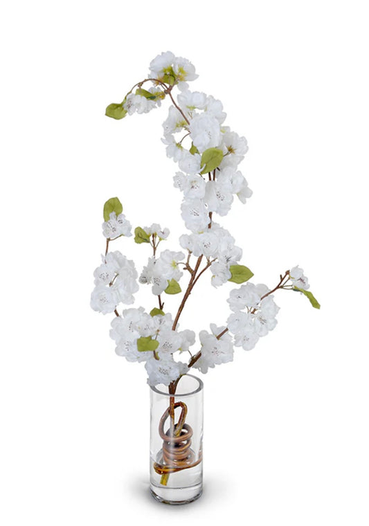 Cherry Blossoms in Glass