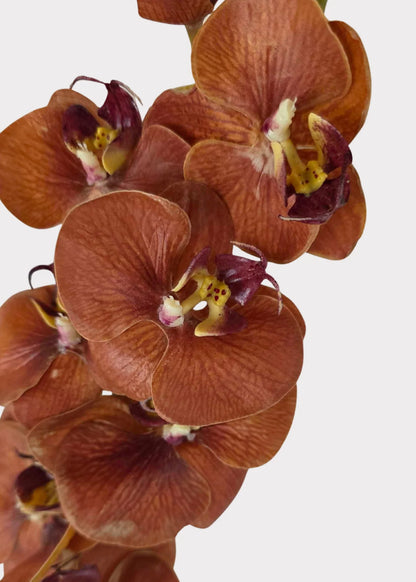 Real Touch Phalaenopsis Orchid Stem – Burnt Orange, 31”-Set of 3