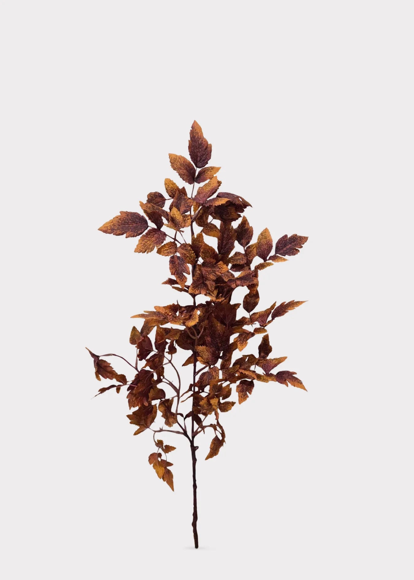 Artificial Cimicifuga Ramosa Fall Branch – Rust Brown, 30”-Set of 3