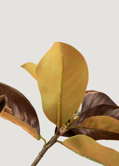 Artificial Brown Magnolia Stem - 38.5" Set of 3