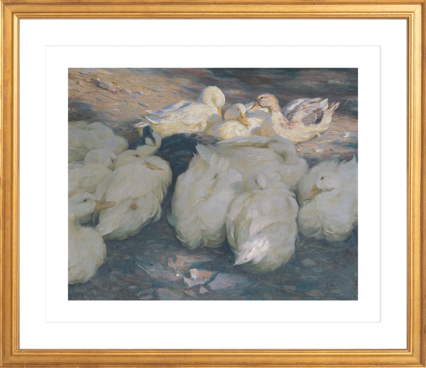 A Study of Ducks — Elegant Vintage Wildlife Art Print