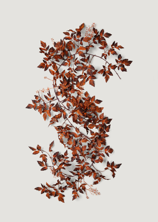 Brown Artificial Cimicifuga Seeded Garland - 6'