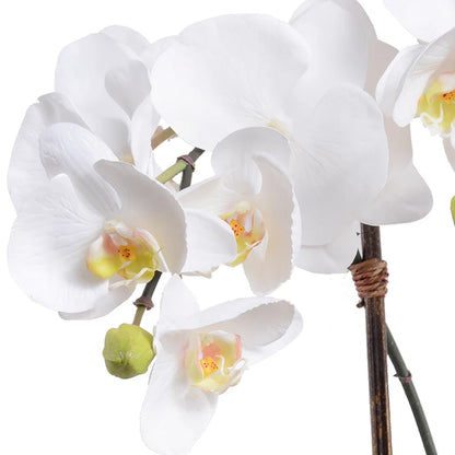 Phalaenopsis Orchid x3 Leaf-it 29"H