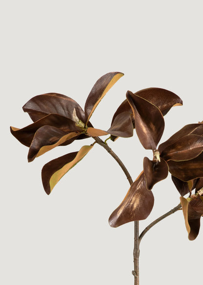 Artificial Brown Magnolia Stem - 38.5" Set of 3