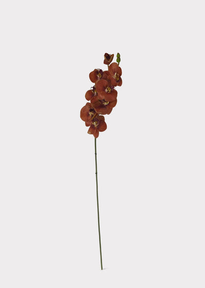 Real Touch Phalaenopsis Orchid Stem – Burnt Orange, 31”-Set of 3