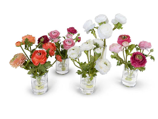 Ranunculus