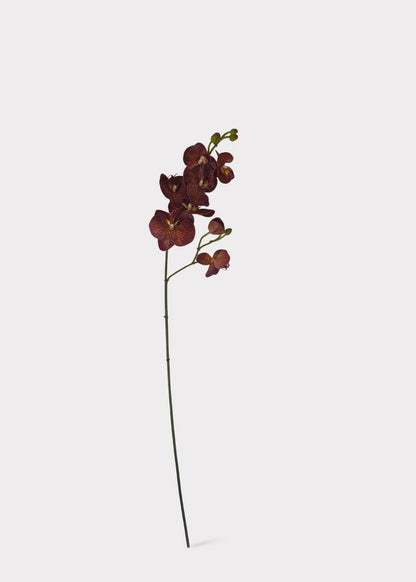 Real Touch Phalaenopsis Orchid Stem – Autumn Brown, 31”-Set of 3