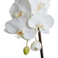 Phalaenopsis Orchid x3 Leaf-it 29"H
