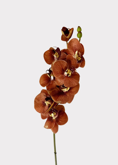 Real Touch Phalaenopsis Orchid Stem – Burnt Orange, 31”-Set of 3