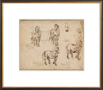 Horse Sketch III