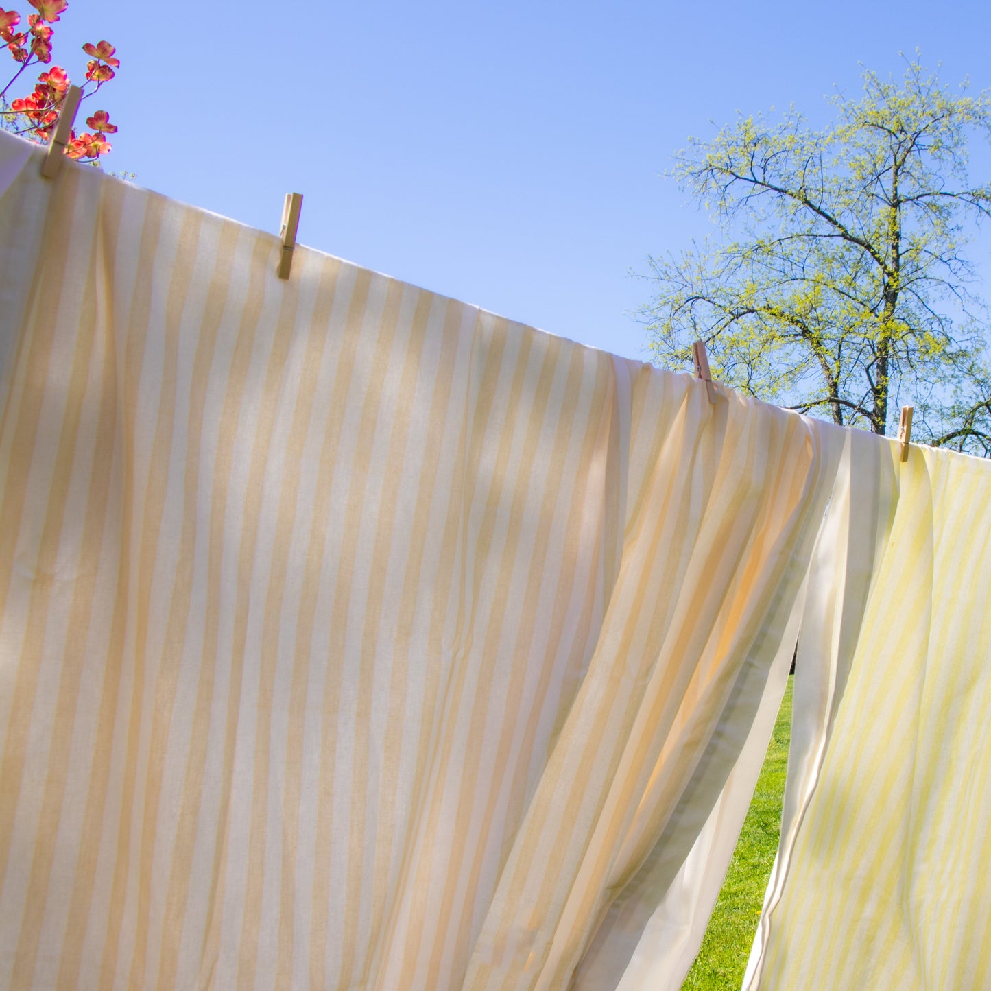 Lychee Sorbet Stripe Tablecloth
